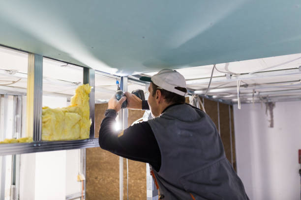 Best DIY Insulation Kits and Guidance in Pearland, TX